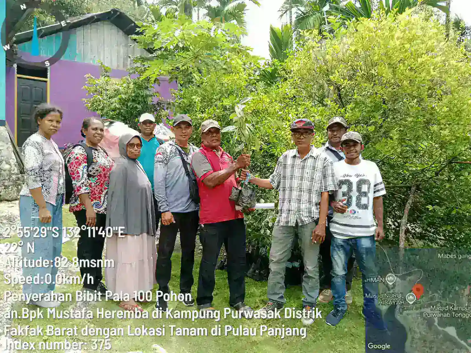 Gerak Kilat Jawab Aspirasi Reses, Bibit Pala Diantar Langsung ke Kebun: Sinyal Baru Keseriusan Pemda Fakfak